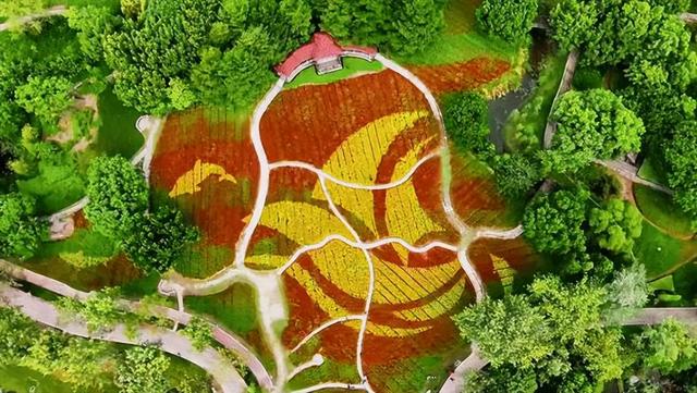 厦门园博苑海洋岛，园区九岛之一，6000平方米花海，让人流连忘返