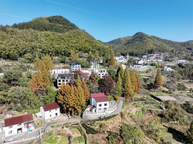 富阳这个网红村，游客车辆从山脚排到村里！