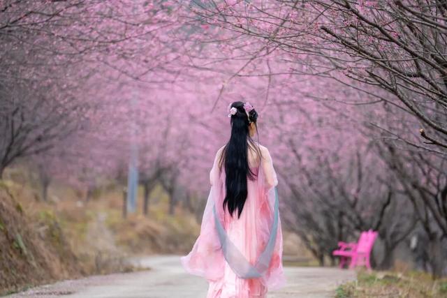 门票不限量免费送！明月山花海原居2月1日开园，解锁樱花美景+免票攻略+玩法指南！