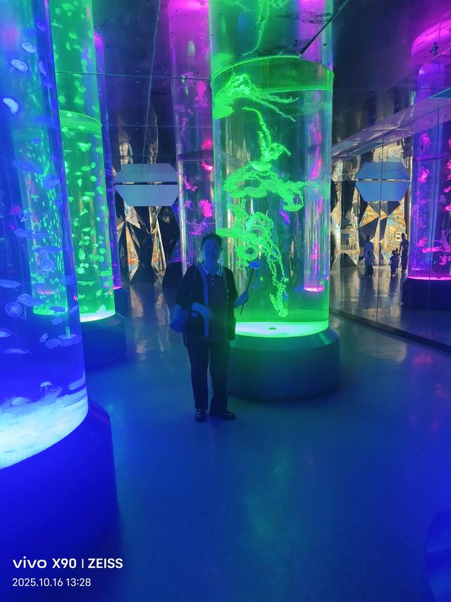 成都 极地海洋公园（58）2025年10月16日