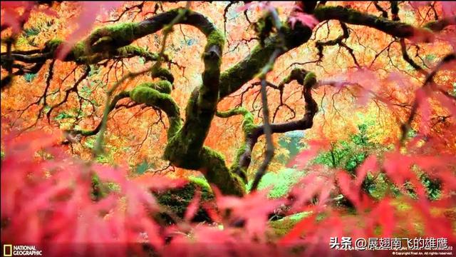 《游天平山：枫影古韵里的灵魂邂逅》