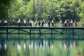 四川“五一”旅游消费总额破235亿元！宽窄巷子、都江堰-青城山单日接待量创历史新高图片