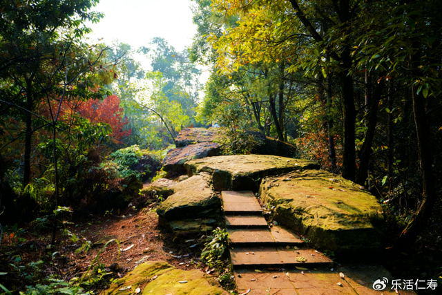 除了“YYDS”，我们还可以这样夸仁寿