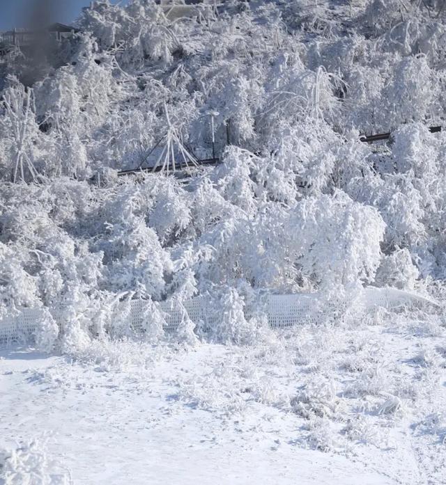 体荟四季丨出发！与小体一同解锁长三角3小时“滑雪圈”