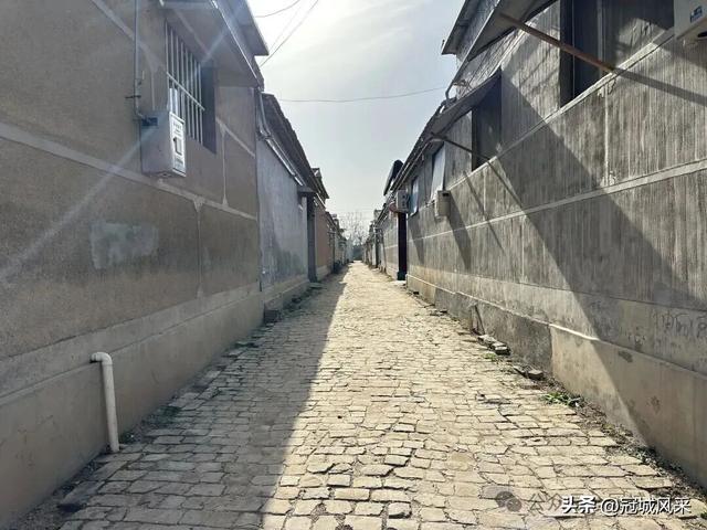 冠县乡韵·辛集镇饮马庄