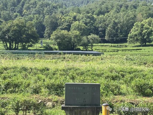 杭州印象·灵隐飞来峰