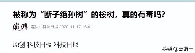 日本和美国早已禁种，中国为何依然大力种植？背后原因不简单