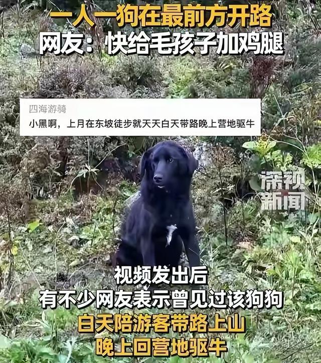 珠峰暴雪围困！向导血肉之躯开生路，百人奇迹生还，拒收天价酬金