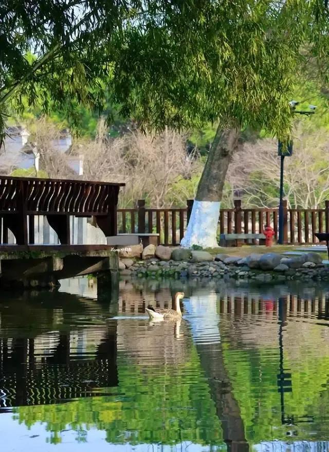 太惨！江西19岁女大学生景区被捅死亡，知情人曝内幕，事情不简单