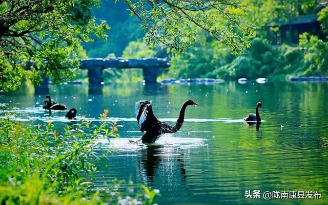 阳坝镇：在这片秘境里 邂逅文旅康养的诗意