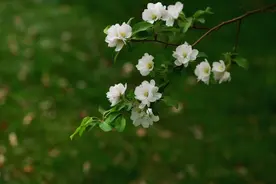 40-50岁网名昵称，微信抖音名字，简单气质，成熟稳重，你喜欢吗图片