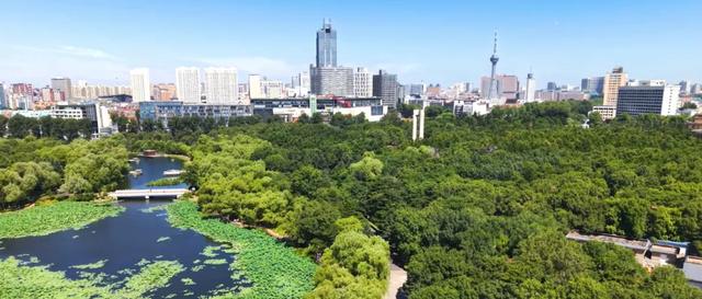 夏日南湖 盛满悠然时光