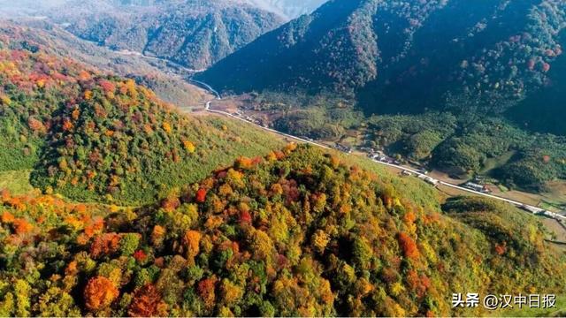 秋色浓度超标！汉中这座小城值得奔赴！
