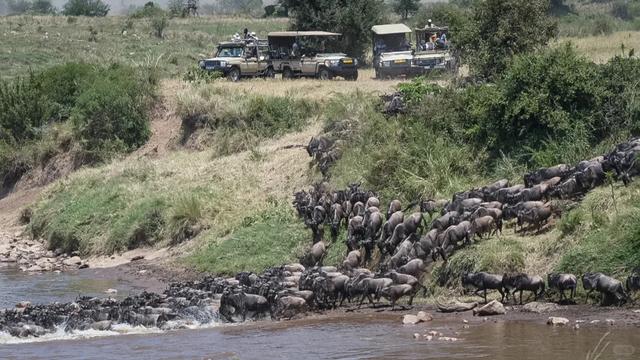 非洲坦桑尼亚8天7晚野奢之旅，乘越野车Safari，看动物大迁徙！