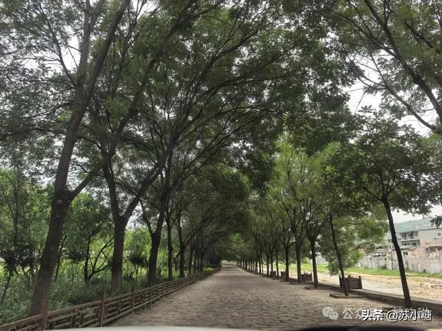 【山西游】碛口古镇，黄河岸边的烟火人间，黄土高原上的布达拉宫