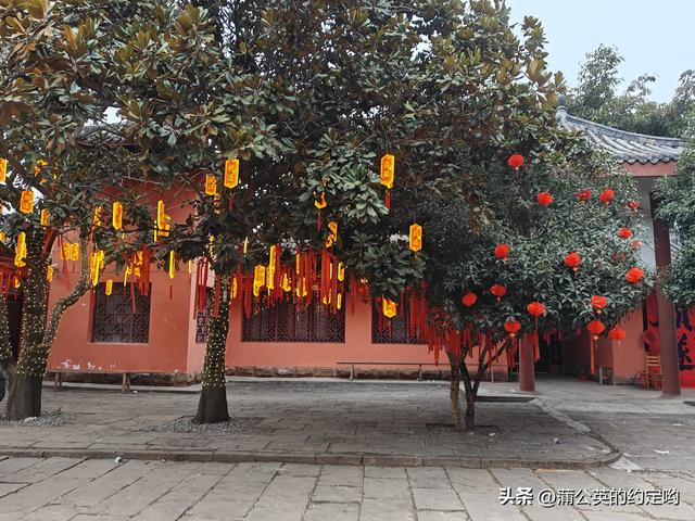 回顾一下今年春节，明天又要启程