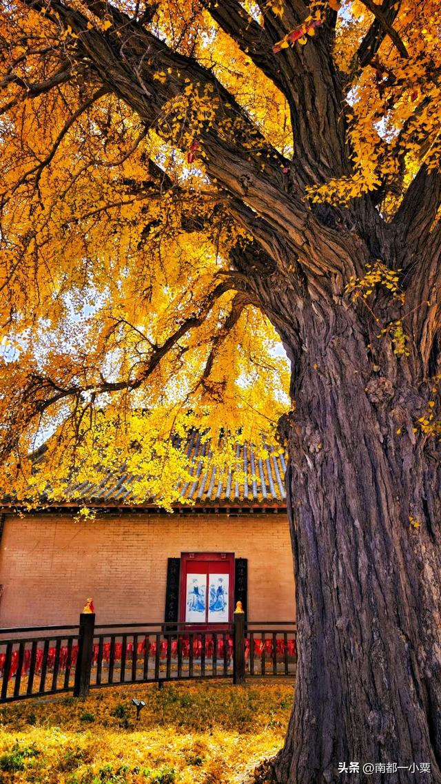 辽宁大连，五大古镇