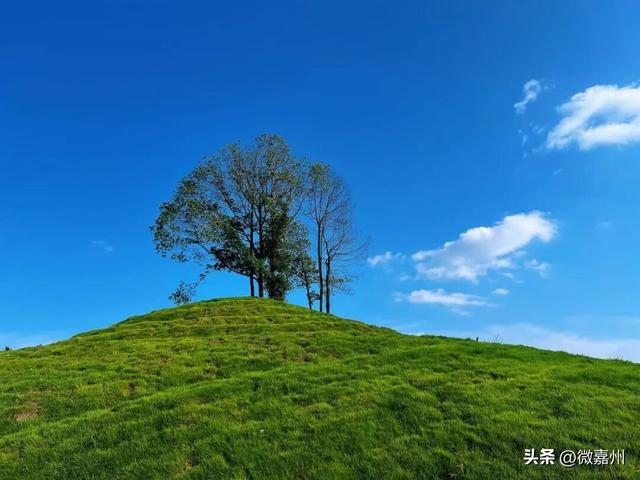 城建第一线丨海棠盛景今日开园 这个假期就到这里享受慢时光