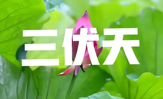 今年三伏天10年一遇，4大特殊的点，今年的高温还要持续多久