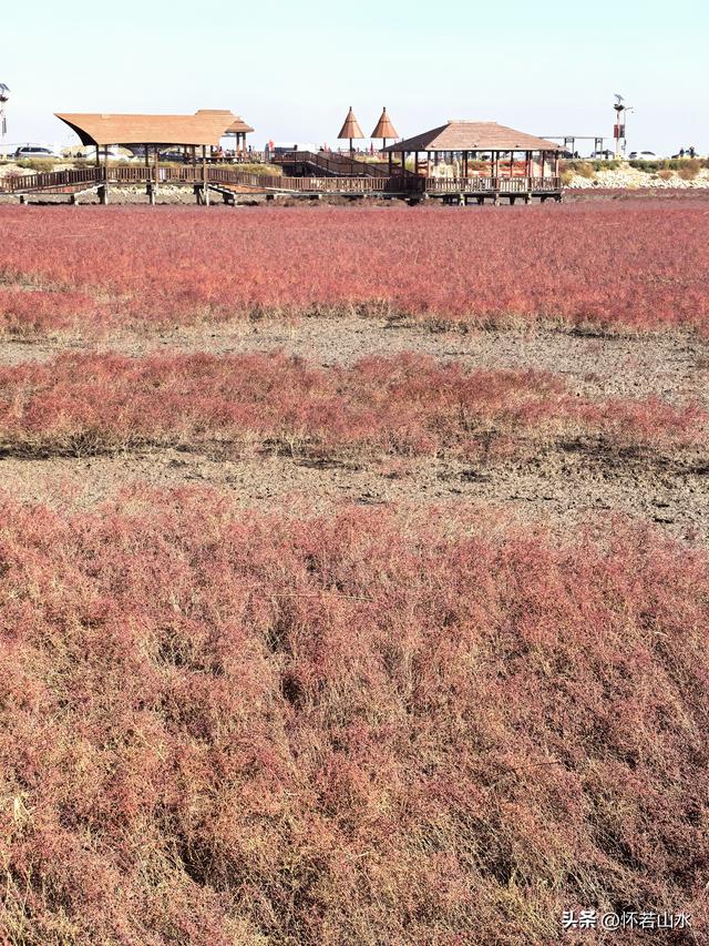 2025辽宁赏秋之旅日记(5)——从本溪前往盘锦 游览红海滩景观