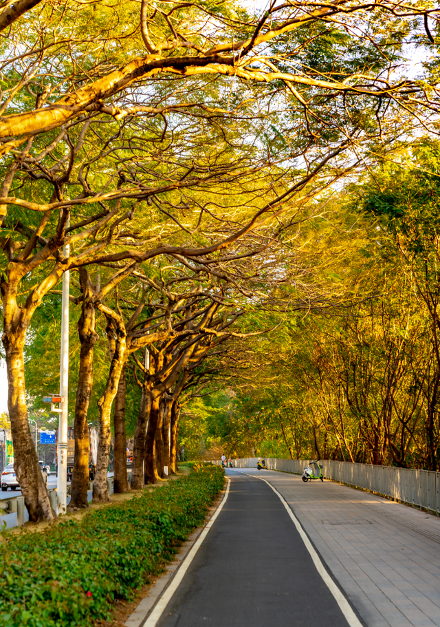 看！是金黄色的光明！