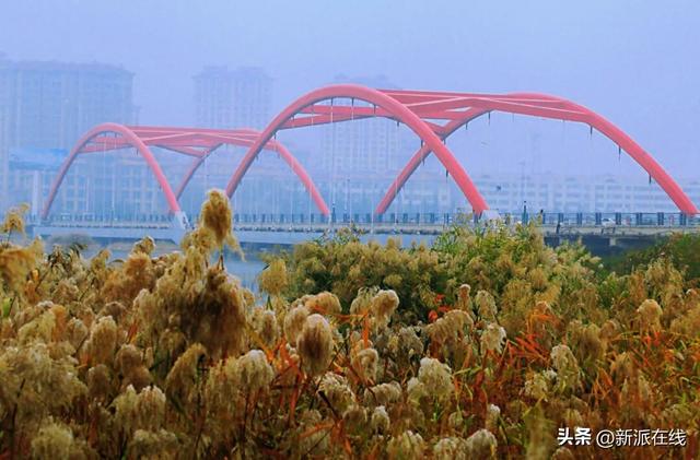 立冬已至，潍坊的秋意仍浓，这里的风景绝美