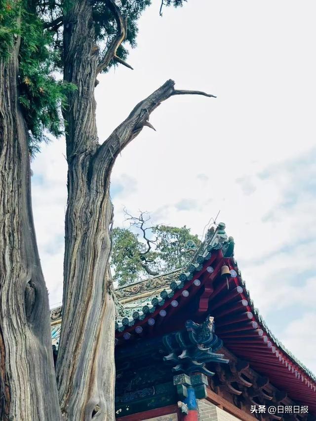 “铁腚大巴”甘南线第五站：美美与共，兼容并举让文化自信更有底气