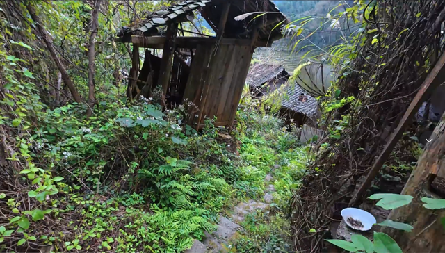 贵州被时光遗忘的古村落，依山傍水环境优美，搬迁多年杂草丛生