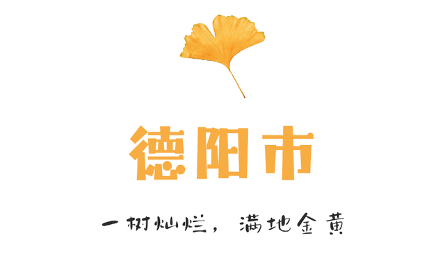 【美丽四川】一年一度朋友圈银杏比美时刻又来了！