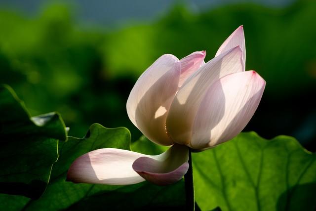 87年，去同学家玩，他姐姐把我拉进房间，教我玩“俄罗斯方块”