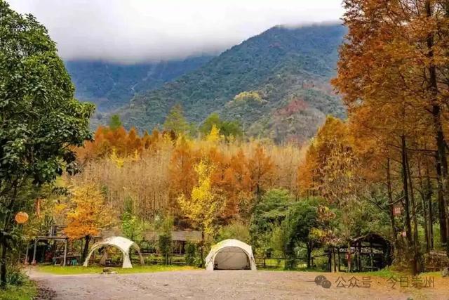 漫山彩林，琉璃坝的色彩美学