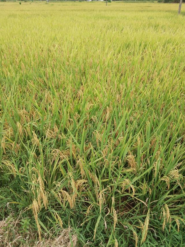 懒汉的好日子到头了！国家动真格，这次绝不再养大爷