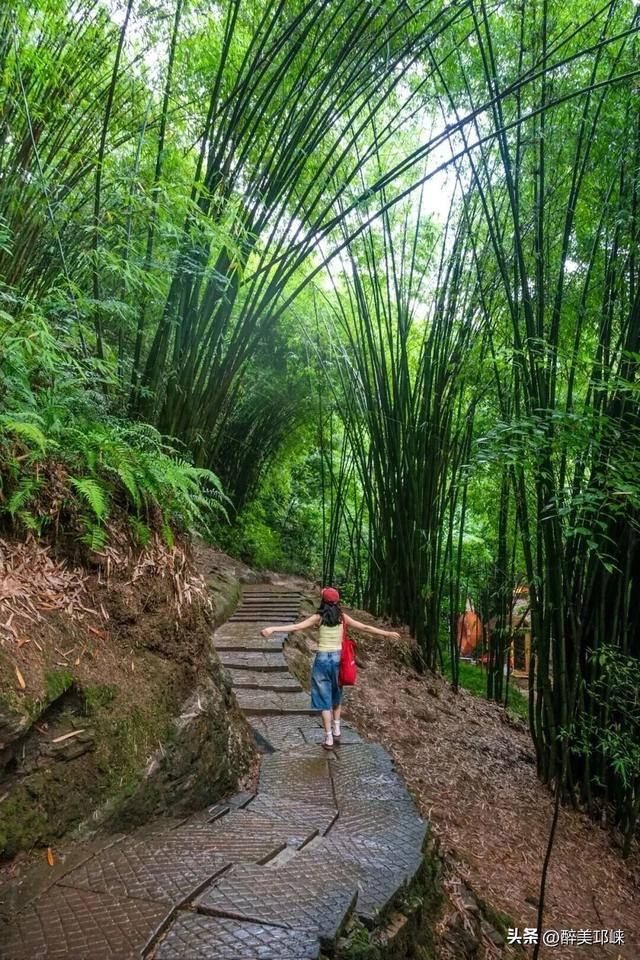 期待！邛崃市IMTA全域户外徒步道建设正式启动！