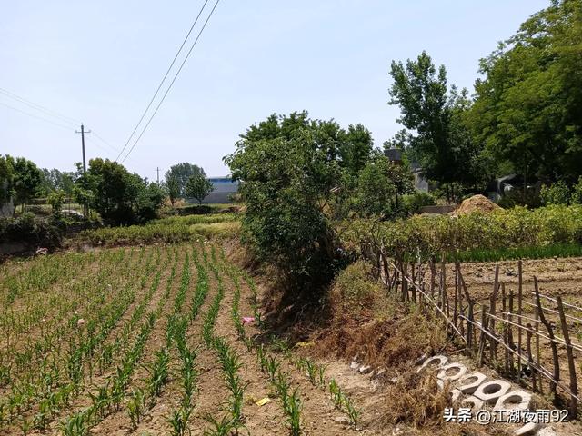南阳马圈王村,曾为坚固古城,北魏孝文帝与南齐太尉曾在此激战