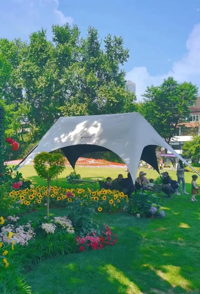 上海解锁“千园之城”，遛娃拍照吸氧圣地，哪个是你最爱？