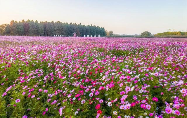 除了跑，还能吃和玩