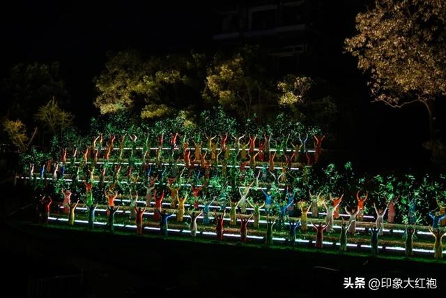 印象大红袍，2025精彩答卷，2026蒸蒸日上！