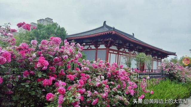 石家庄各辖区名称由来及历史沿革简要