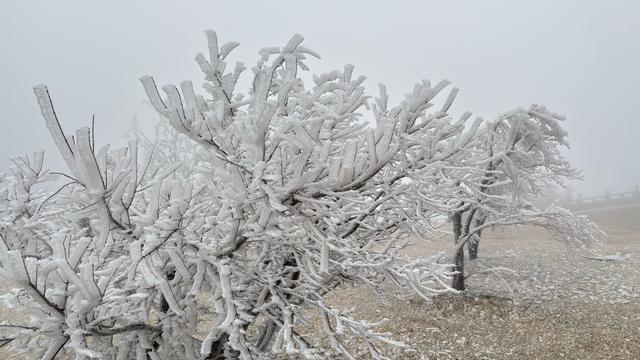 南昌初雪上线！湾里雾凇美成仙境，这份江南冰雪浪漫太惊喜了