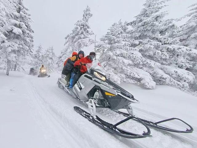 哈尔滨凤凰山冬景即将上线！雾凇林海与雪地运动共绘冰雪秘境