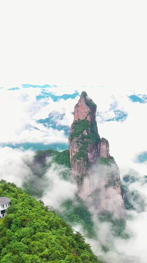 这位网红是怎样通过搞笑视频收获百万粉丝的