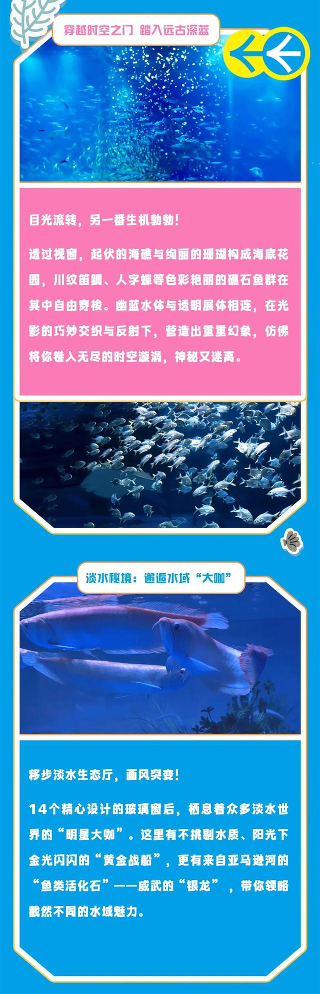 云龙湖水上世界“心脏”曝光！主展馆藏着一整个奇幻水下王国！