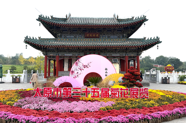 太原一年一度菊花展谁还没看？花团锦簇，韵味无穷，美到窒息！