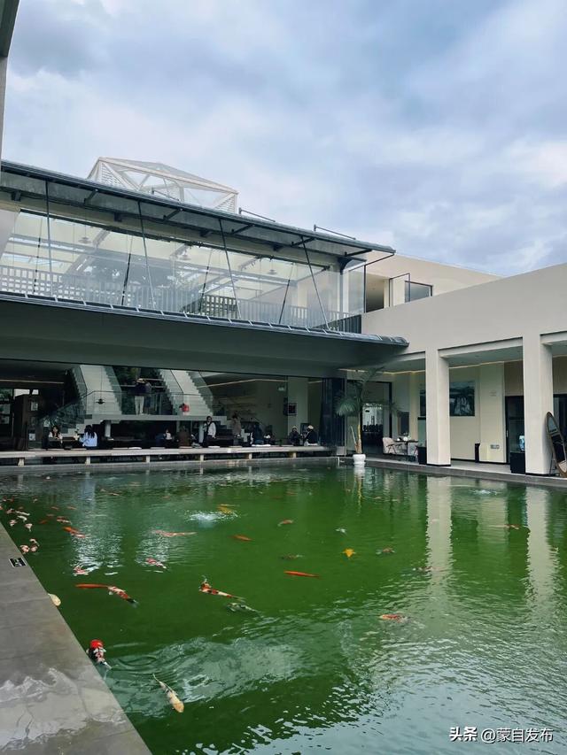 近期爆火！探秘蒙自这个热门打卡地，超推荐！