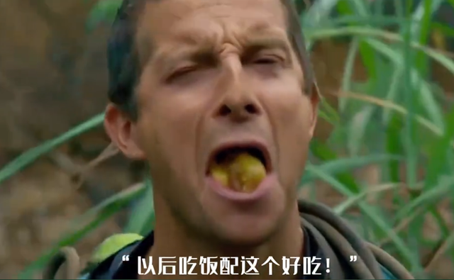 博主在瑞典逛 恶心食物博物馆，燕窝 猪脑就忍了，看到皮蛋绷不住了