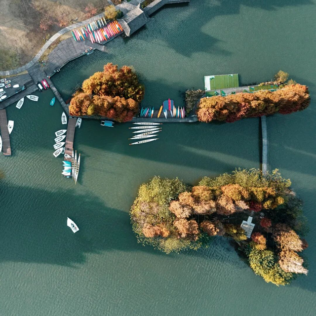 杭州秋冬的“多巴胺”美景来啦～