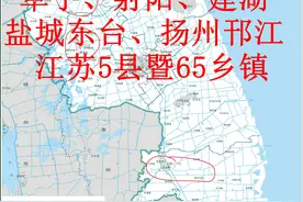 江苏盐城阜宁、射阳、建湖、东台及邗江5县暨65乡镇年度公报图片