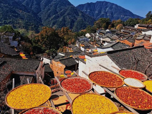 10月-11月，适合秋天去的6个城市，错峰出行，秋景更美