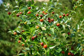 农村“四大酸、四大苦、四不摸”，是哪4个？太有道理了！图片