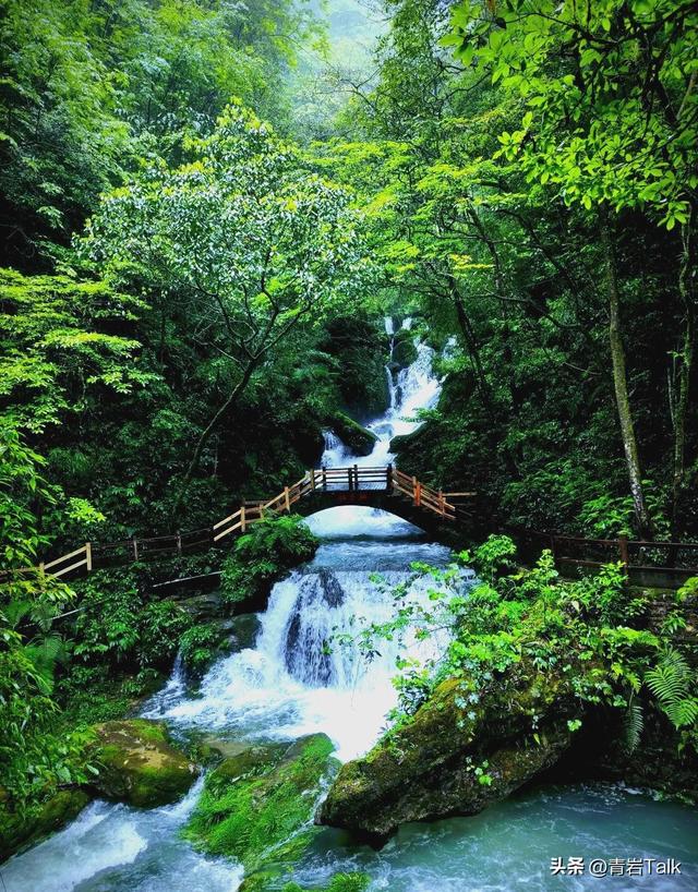 快通服务变收割工具？揭秘景区乱象根源，监管需亮利剑